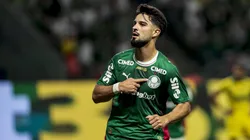 Flaco López é um dos destaques do Palmeiras na temporada. Foto: Marco Miatelo/AGIF