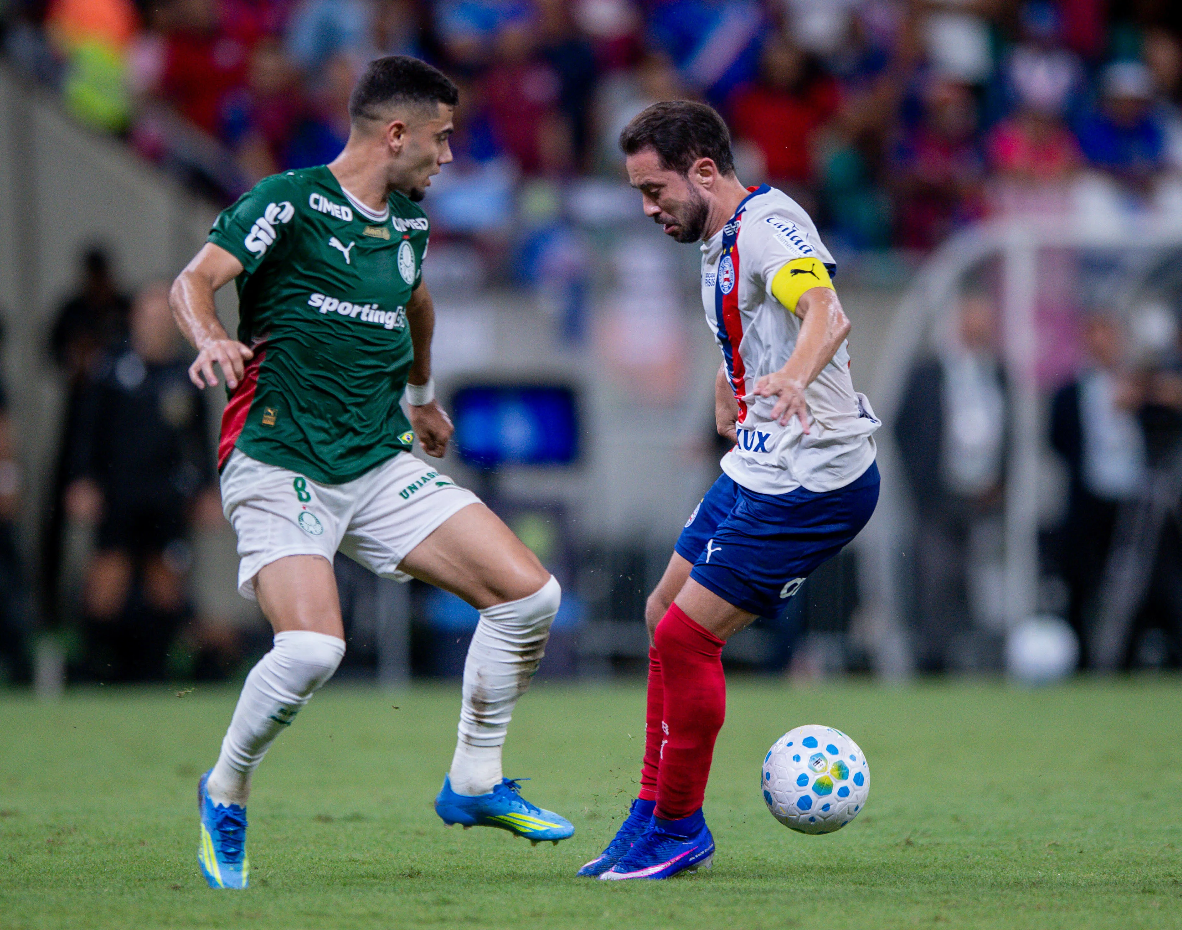 Palmeiras vem de vitória sobre o Bahia, pelo Brasileirão. Foto: Jhony Pinho/AGIF