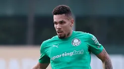 Paulinho pelo Palmeiras. Foto: Cesar Greco/Palmeiras