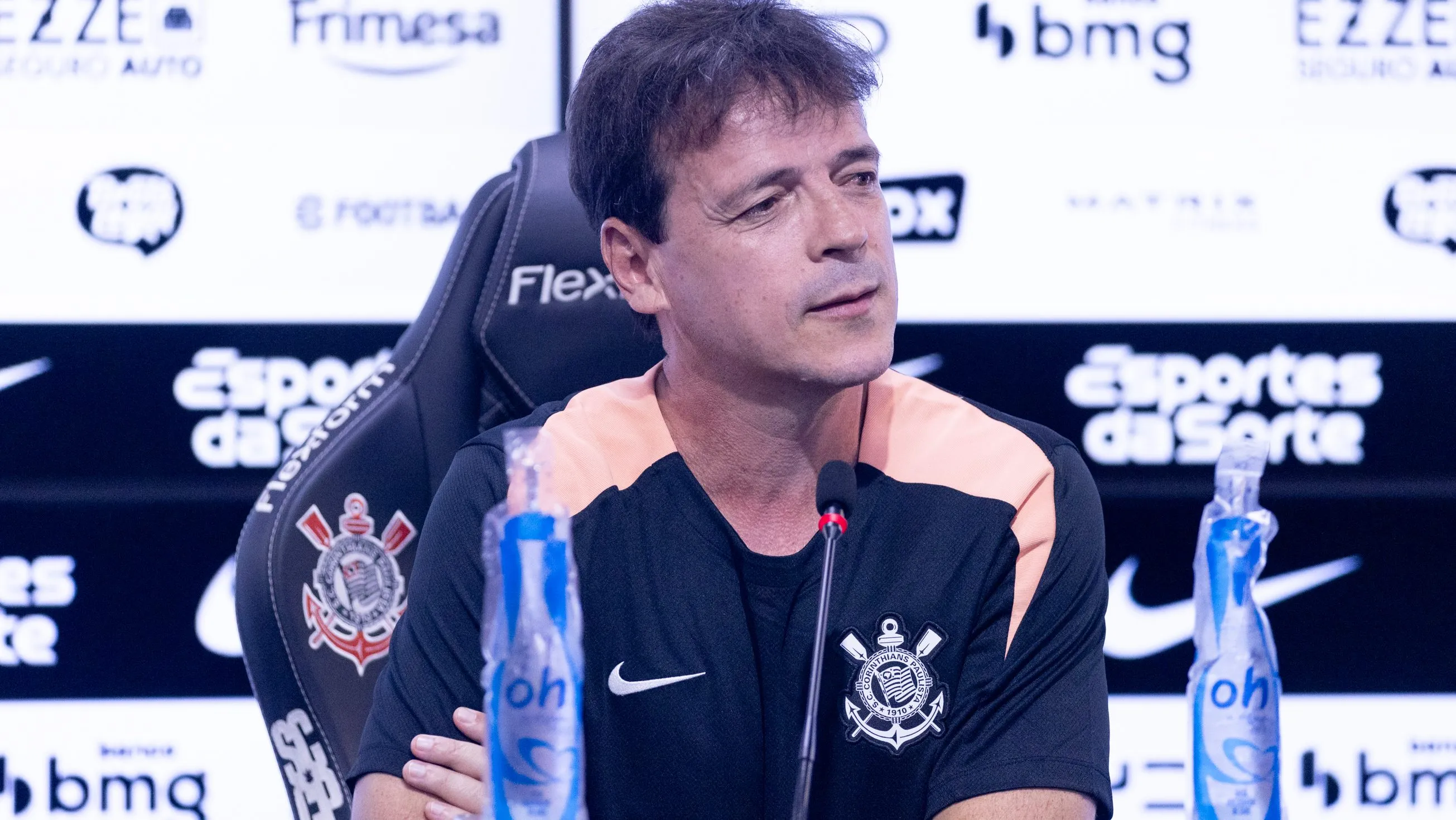 Fernando Diniz - Foto: Rodrigo Coca/Agência Corinthians.