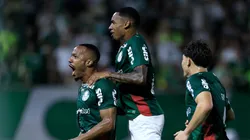 Palmeiras mede forças com veteranos que já foram esperança da Colômbia — Foto Marcello ZambranaAGIF