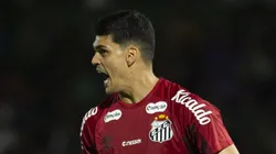 Gabriel Brazão, goleiro do Santos - Foto: Anderson Romao/AGIF