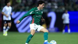 Maurício jogador do Palmeiras durante partida contra o Grêmio. Foto: Marcello Zambrana/AGIF