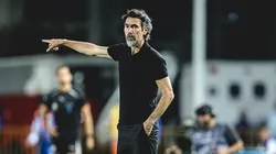 Dominguez no Galo. Foto: Pedro Souza/Atlético