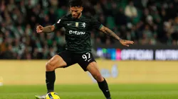 Copyright: Maciej Rogowski / Alamy Stock Photo