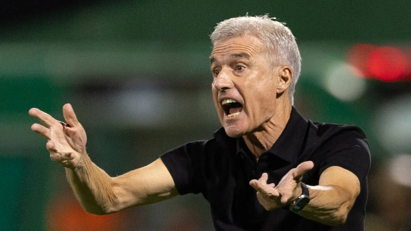 Luís Castro deve seguir no cargo - Foto: Liamara Polli/AGIF.