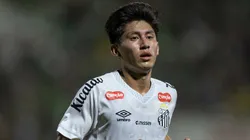 Miguelito retornou recentemente ao Peixe