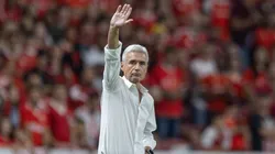 Foto: Liamara Polli/AGIF