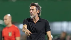 Dominguez no Galo. Foto: Liamara Polli/AGIF