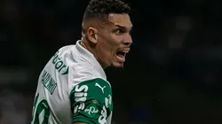 Paulinho em ação pelo Palmeiras - Foto: Fernando Moreno/AGIF.