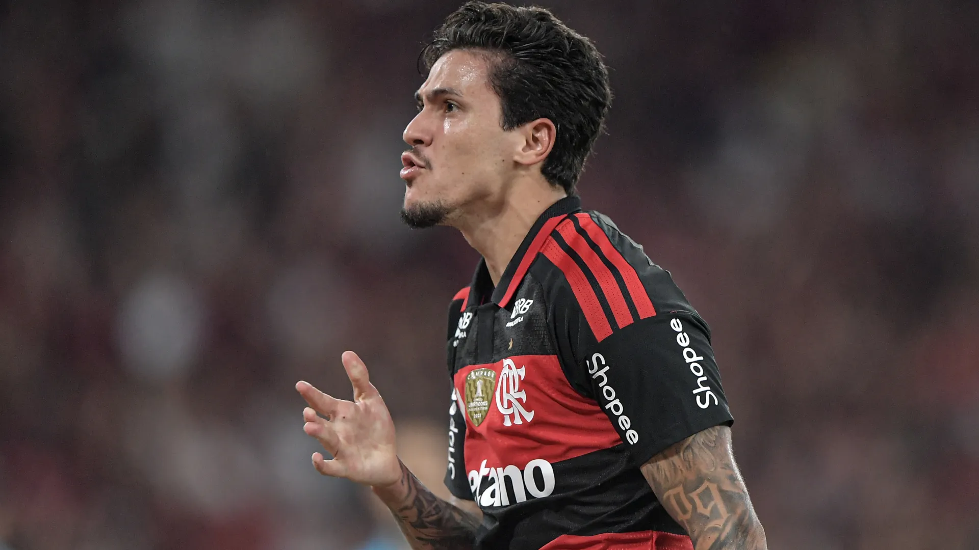 Pedro comemorando pelo Flamengo – Foto: Thiago Ribeiro/AGIF