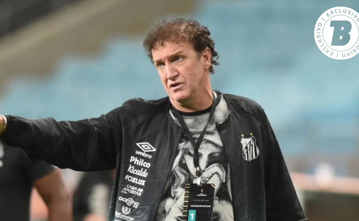 image para ilustrar o artigo