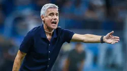 Luís Castro em ação no duelo do Grêmio na Sul-Americana - FOTO: LUCAS UEBEL/GREMIO FBPA