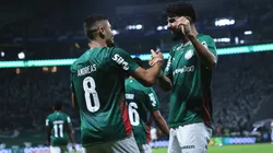 Palmeiras está invicto há quase cinco anos no Allianz Parque em jogos pela Libertadores. Foto: Ettore Chiereguini/AGIF