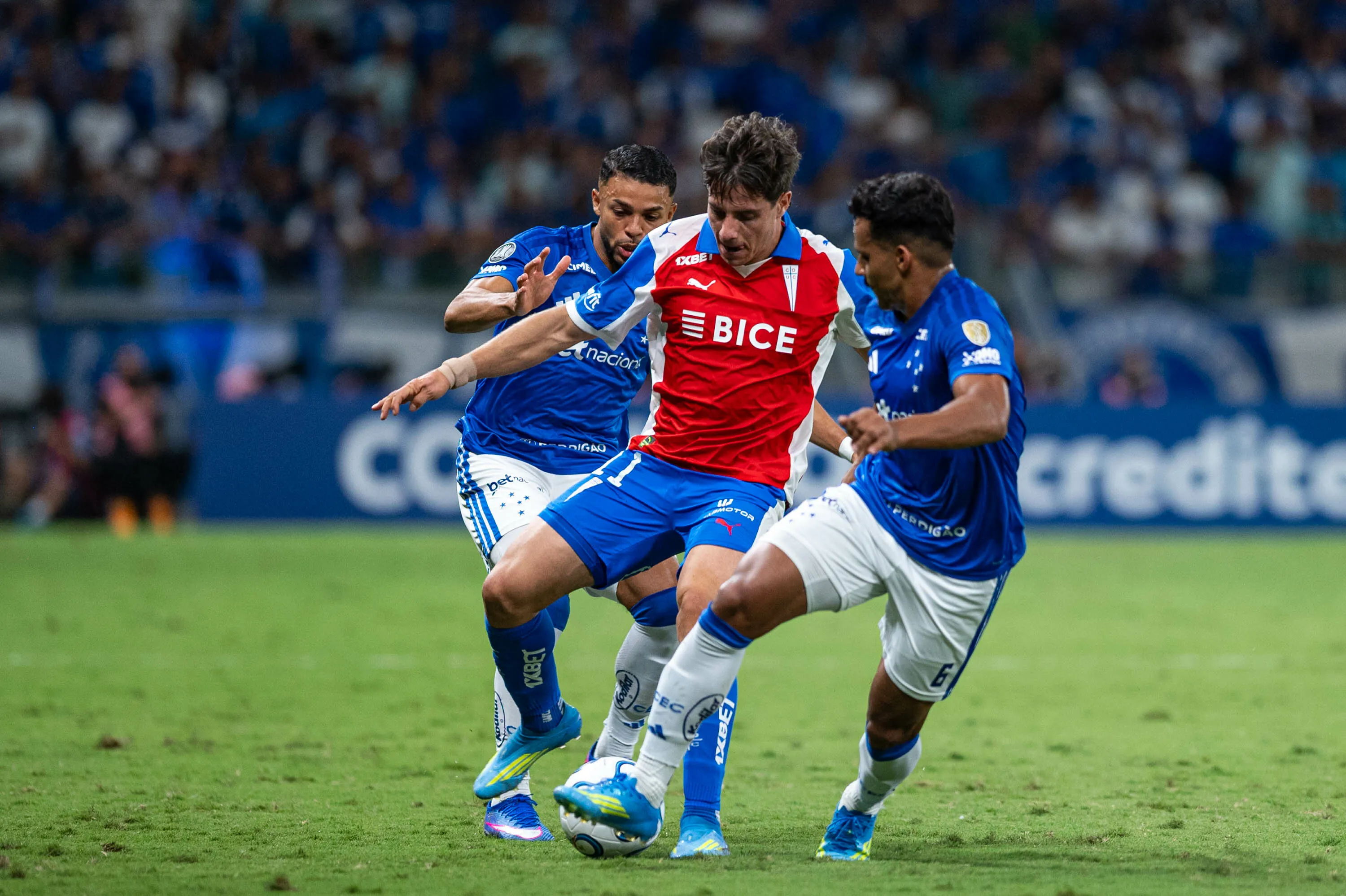 Cruzeiro x Universidad Católica. Foto: Alessandra Torres/AGIF