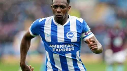 Copyright: Danny Welbeck / Alamy Stock Photo