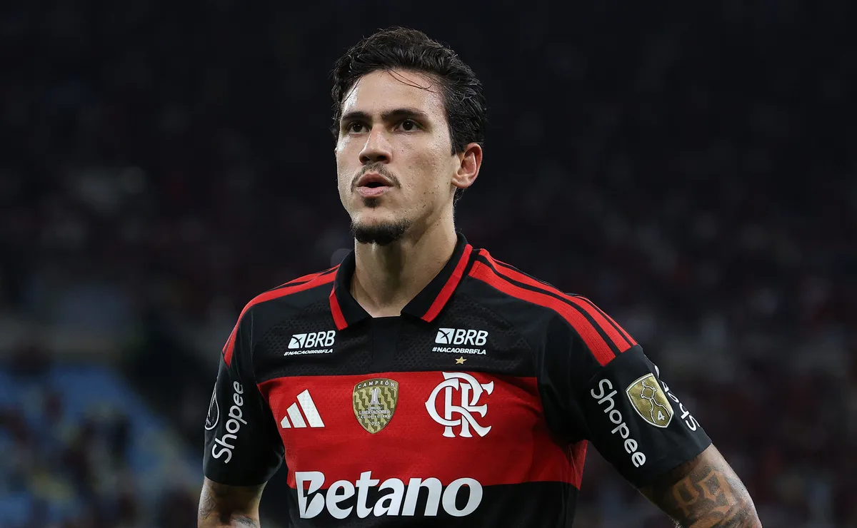 Casagrande pede Pedro entre os convocados da Seleção Brasileira e manda recado a Ancelotti