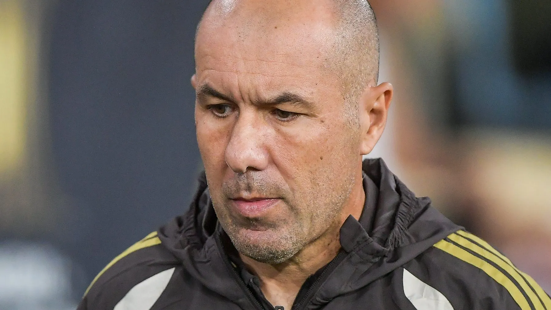 Leonardo Jardim. Foto: Thiago Ribeiro/AGIF