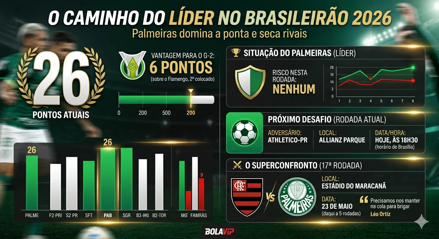 Infográfico Palmeiras Brasileirão