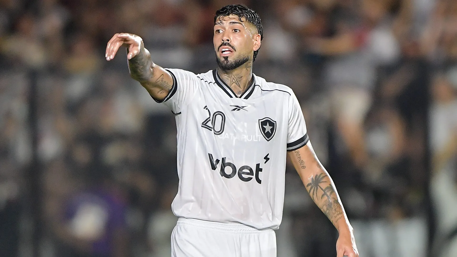 Barboza, do Botafogo