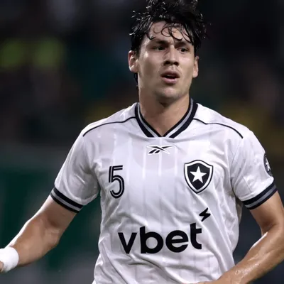 Franclim elogia Ferraresi e demais zagueiros do Botafogo