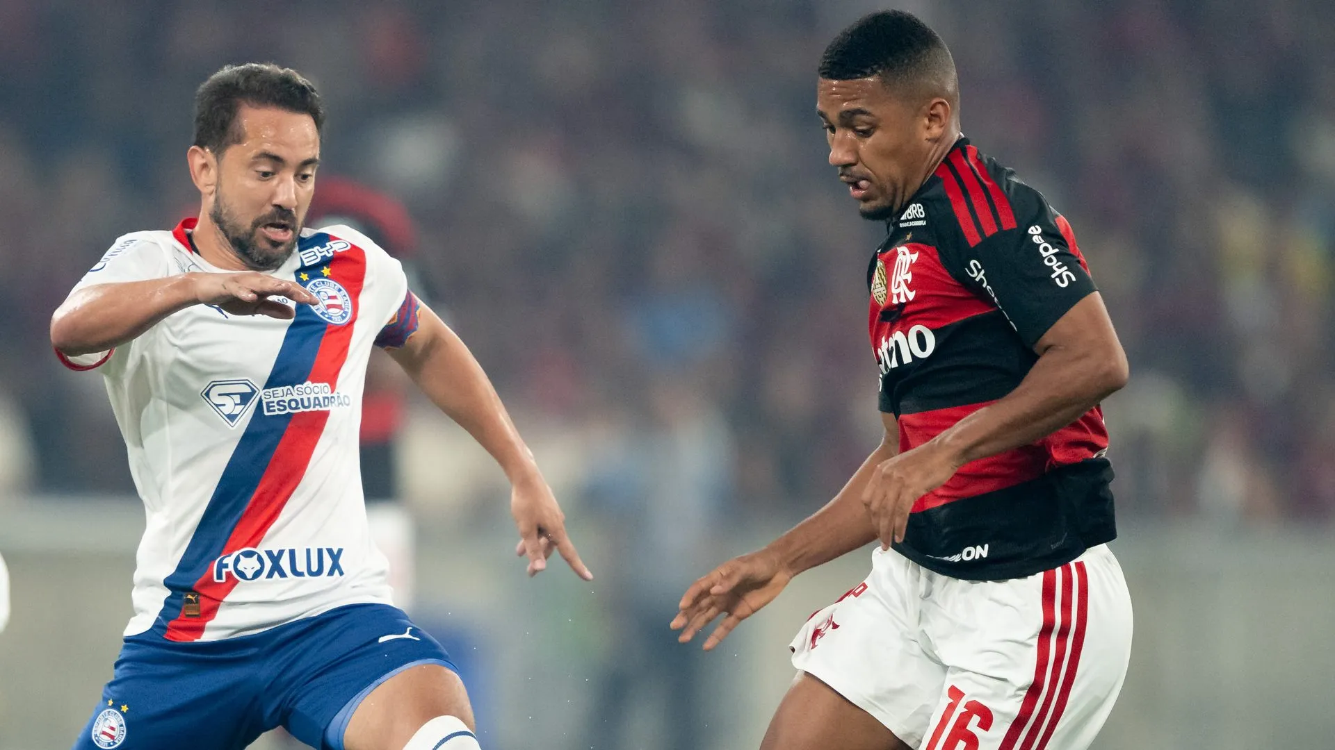 Flamengo x Bahia
