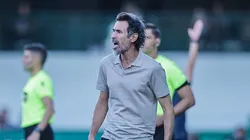 Dominguez no Galo. Foto: Paulo Henrique França / Atlético