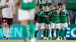 Palmeiras é o atual líder do Campeonato Brasileiro 2026