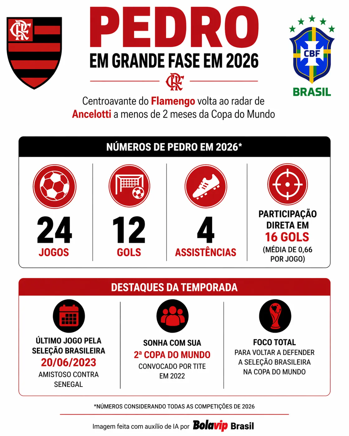 Infográfico Pedro Copa do Mundo