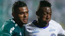 Palmeiras possui bom histórico diante de equipes da Bahia