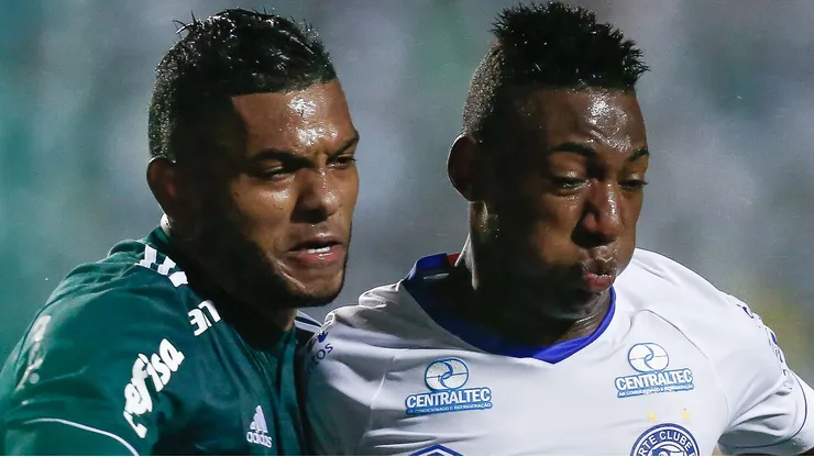 Palmeiras possui bom histórico diante de equipes da Bahia