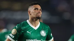 - Paulinho, atacante do Verdão.