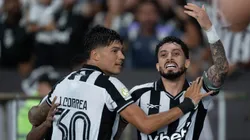 Botafogo vive bom momento na temporada. Foto: Jorge Rodrigues/AGIF