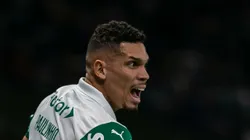 Paulinho em campo com a camisa do Verdão.