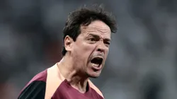 Diniz durante partida do Timão na Série A