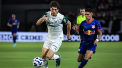 Bragantino x Palmeiras. Foto: Fabio Giannelli/AGIF