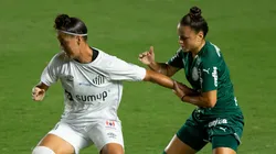 Palmeiras x Santos. Foto: Rebeca Reis/AGIF