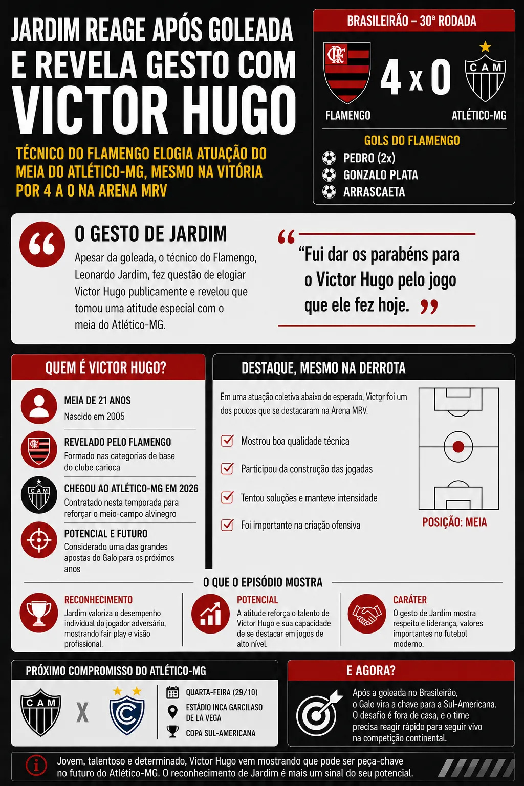 Infográfico Victor Hugo