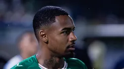 Allan durante jogo do Verdão contra o Grêmio, pelo Brasileirão.