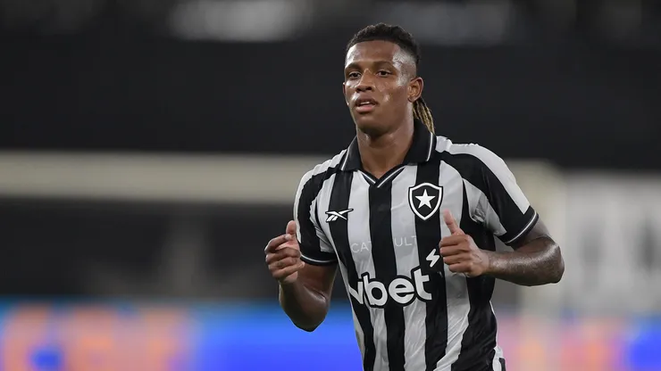 Danilo é o destaque do Botafogo no Brasileirão. Foto: Thiago Ribeiro/AGIF