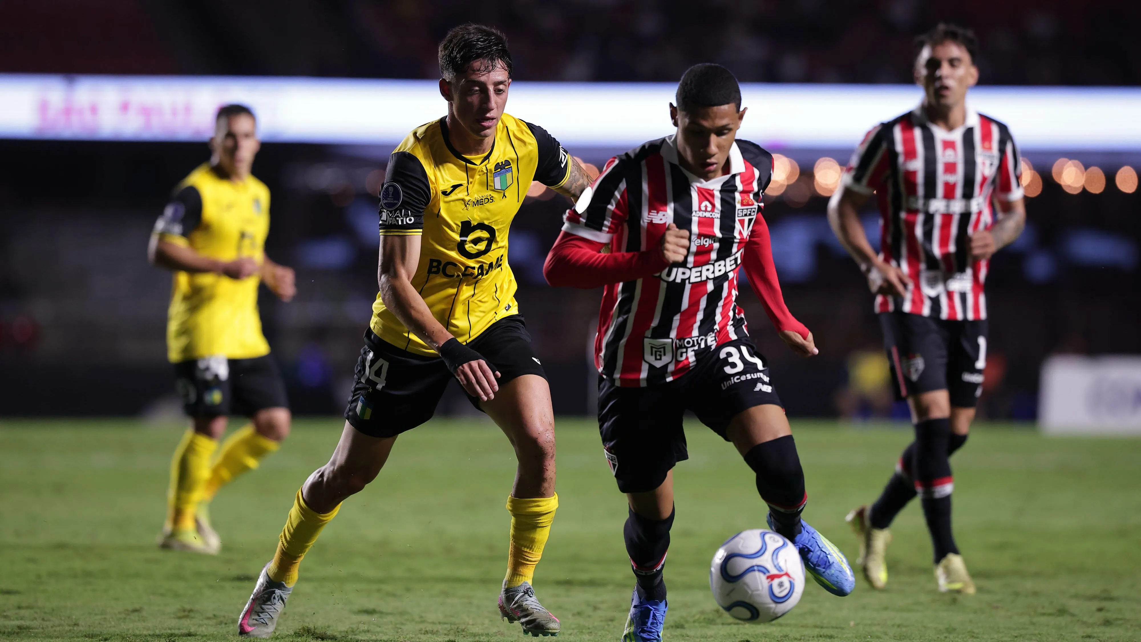 São Paulo está com 100% de aproveitamento até aqui na Sula - Foto: Ettore Chiereguini/AGIF.