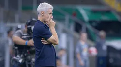 Grêmio liga alerta para estreia de novo técnico e estratégia defensiva do Palestino na Sul-Americana - Foto Maxi FranzoiAGIF