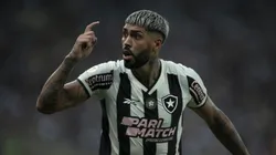 Zagueiro será um dos reforços do Alviverde