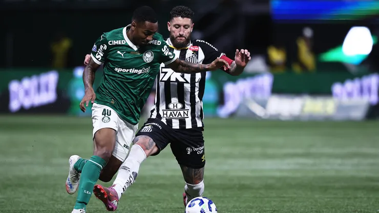Palmeiras x Santos. Foto: Ettore Chiereguini/AGIF