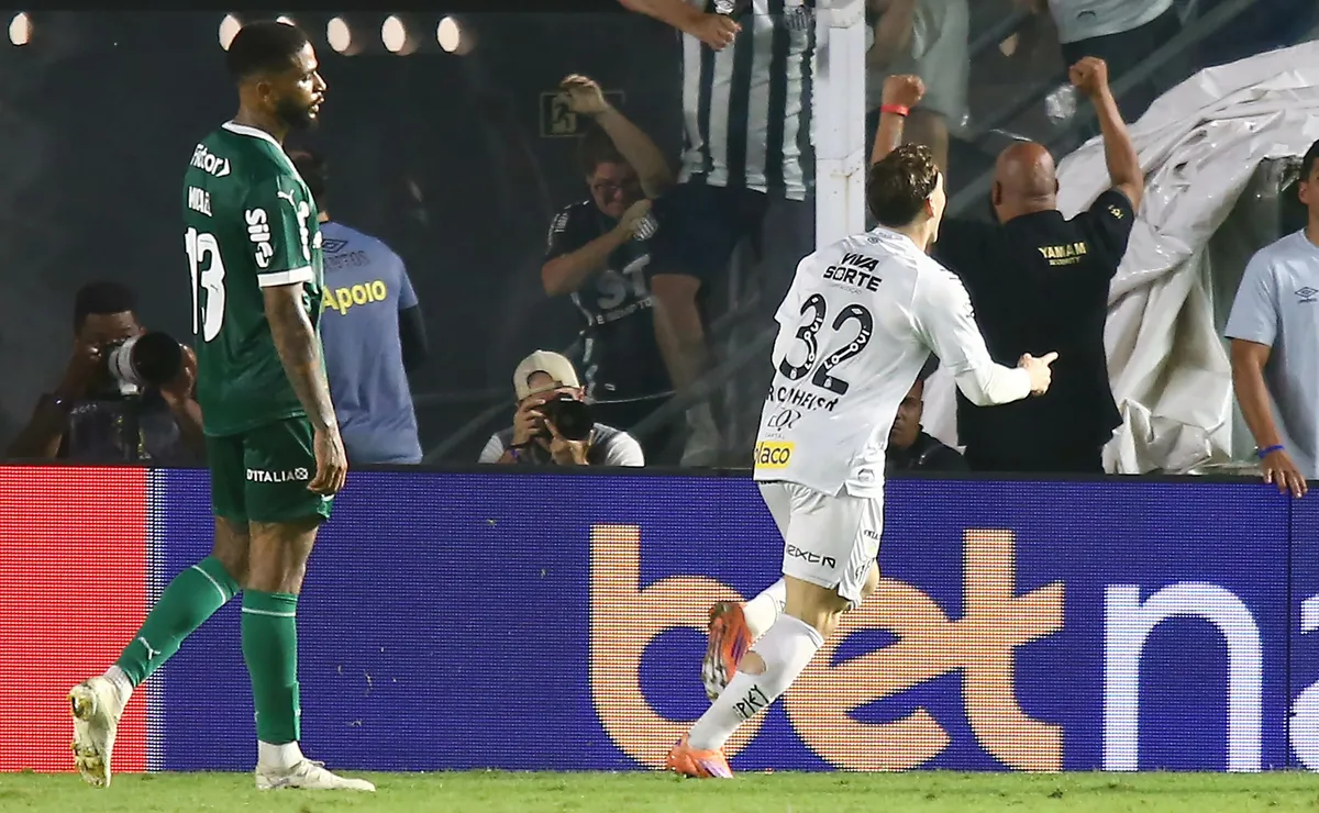 Último Santos x Palmeiras no Brasileirão teve vitória heroica santista nos acréscimos