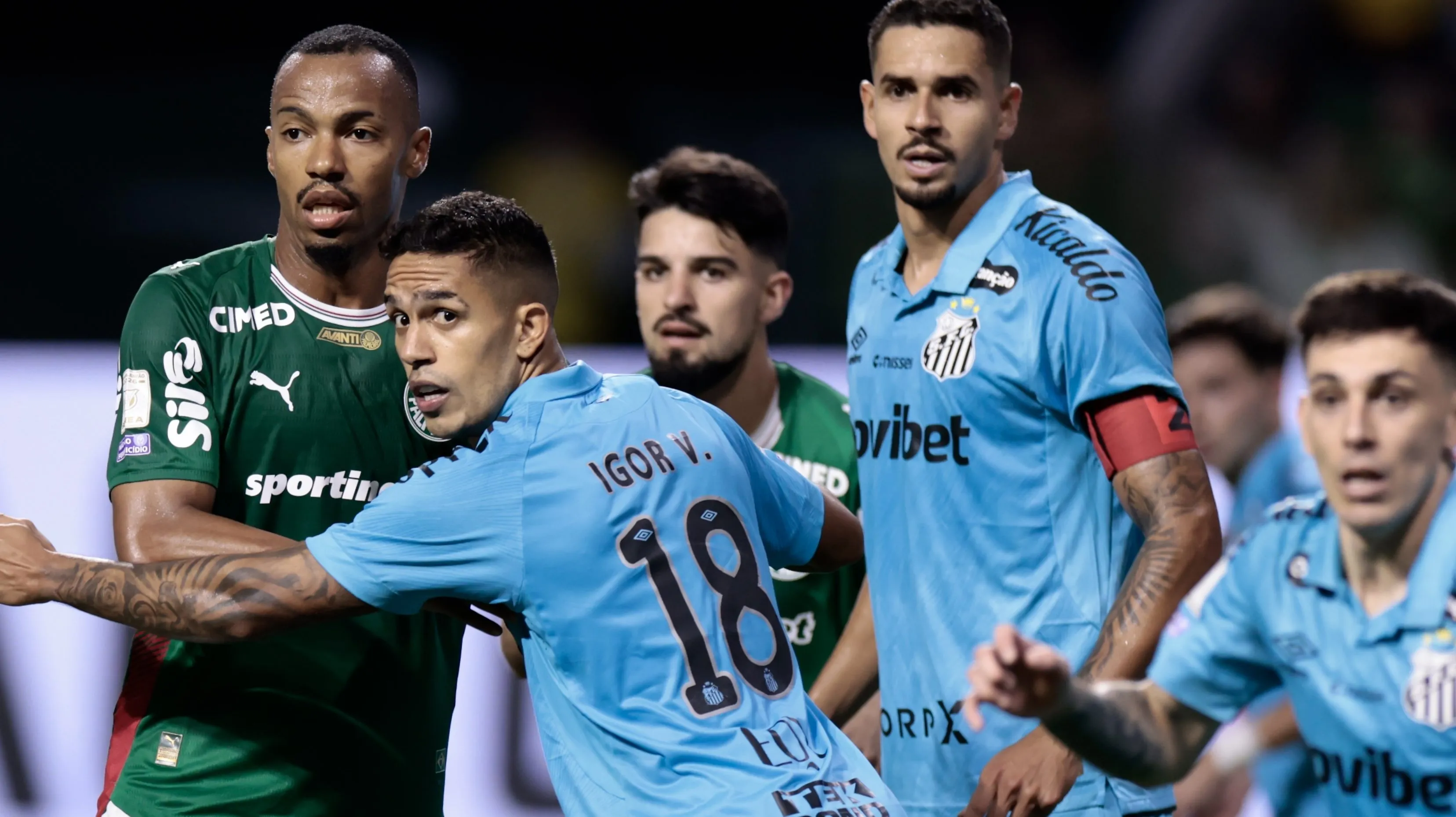 Palmeiras X Santos. Foto: Marcello Zambrana/AGIF