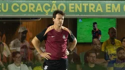 Fernando Diniz técnico do Corinthians durante partida contra o Mirassol. Foto: HUGO NEVES /RP FOTOPRESS/AGIF