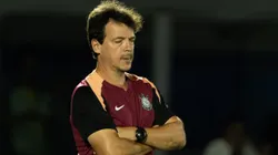 Fernando Diniz Silva técnico do Corinthians. Foto: Joisel Amaral/AGIF