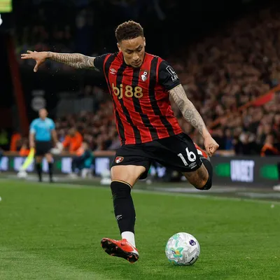 Palpite Fulham x Bournemouth – Premier League – 09/05/26