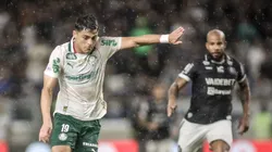 Remo x Palmeiras pela Série A do Brasileirão - Foto: Marcos Junior/AGIF